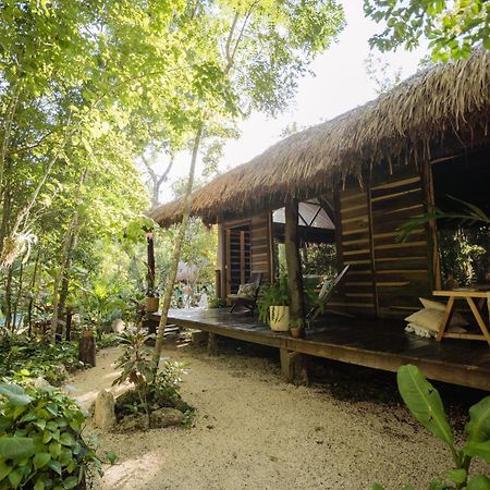 プエルト・モレロス Madre Tierra Eco Habitatゲストハウス エクステリア 写真