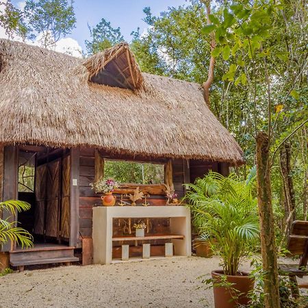 プエルト・モレロス Madre Tierra Eco Habitatゲストハウス エクステリア 写真