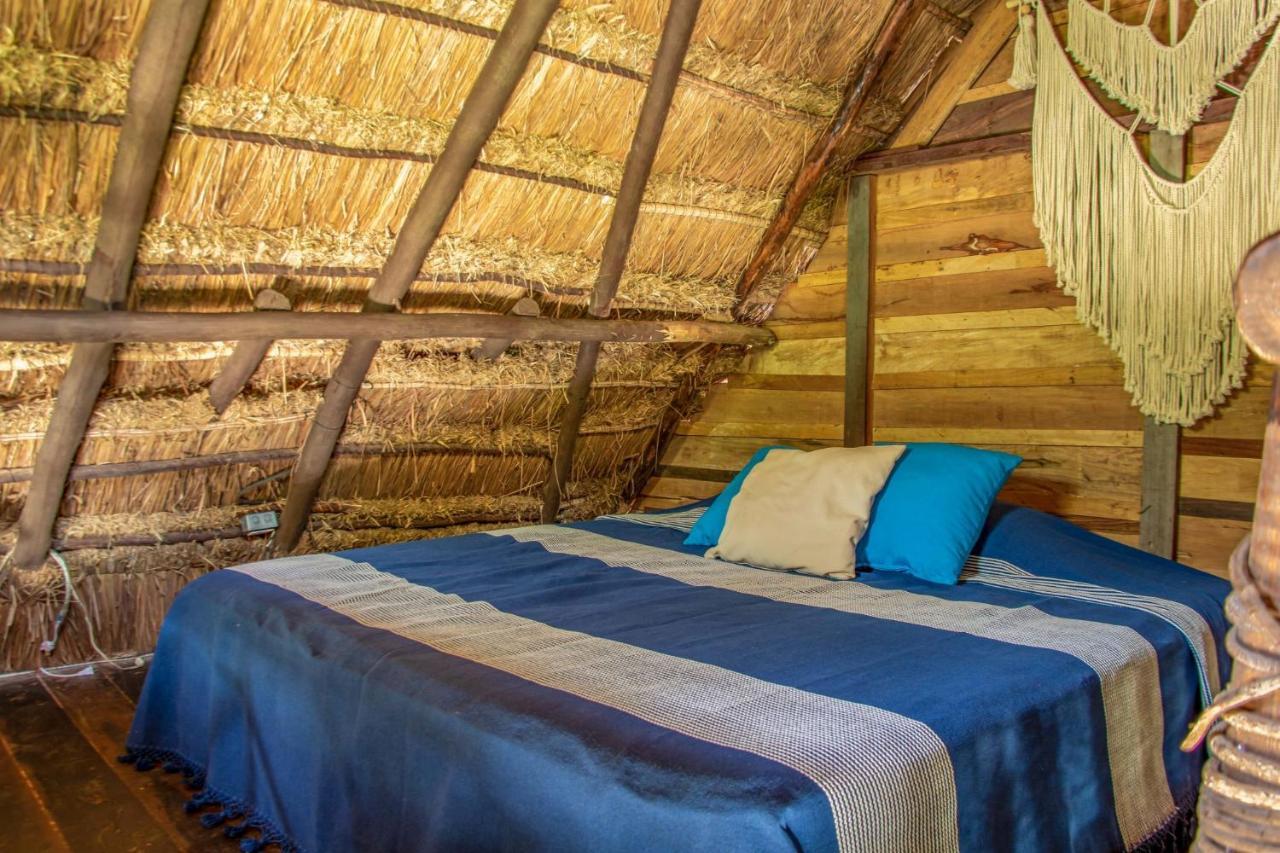 プエルト・モレロス Madre Tierra Eco Habitatゲストハウス エクステリア 写真