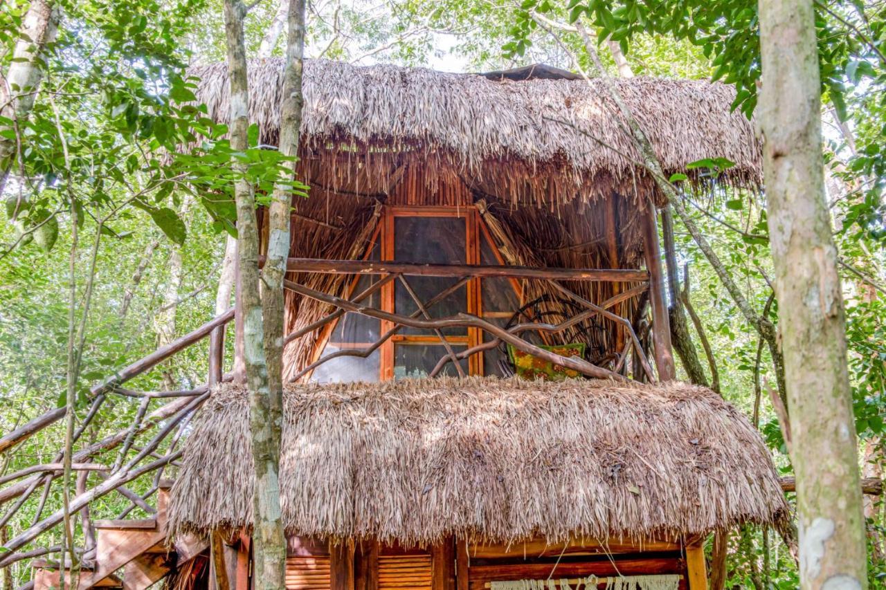 プエルト・モレロス Madre Tierra Eco Habitatゲストハウス エクステリア 写真