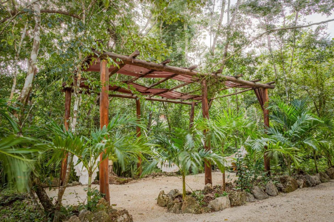 プエルト・モレロス Madre Tierra Eco Habitatゲストハウス エクステリア 写真