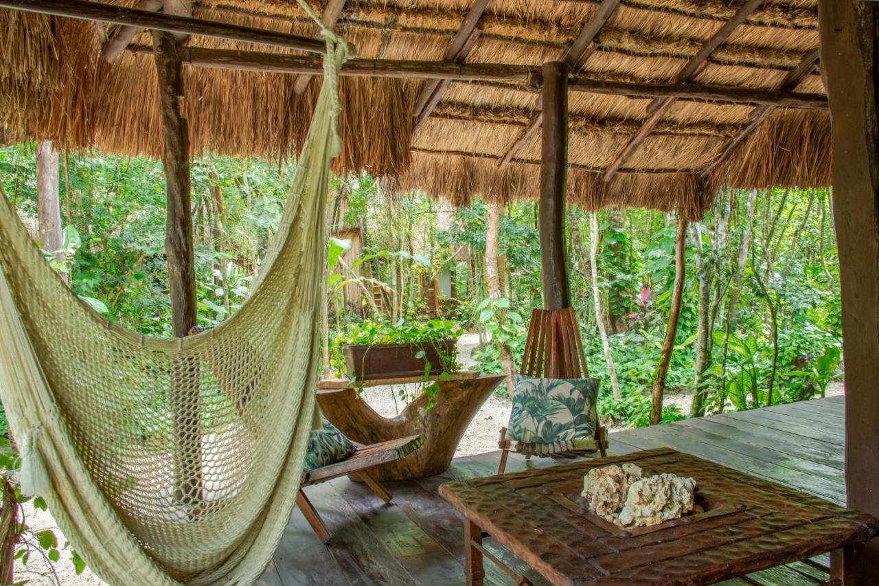 プエルト・モレロス Madre Tierra Eco Habitatゲストハウス エクステリア 写真