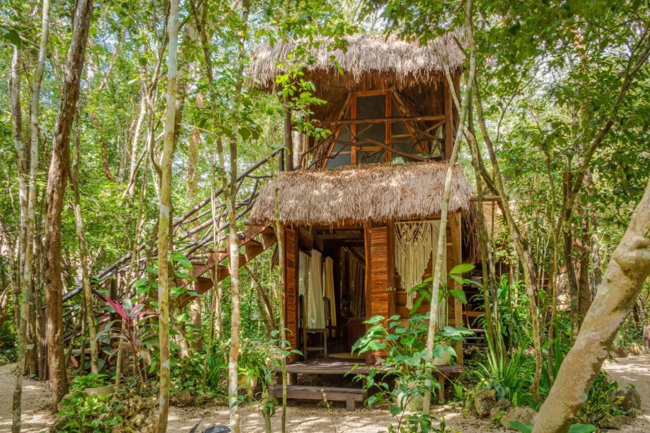 プエルト・モレロス Madre Tierra Eco Habitatゲストハウス エクステリア 写真