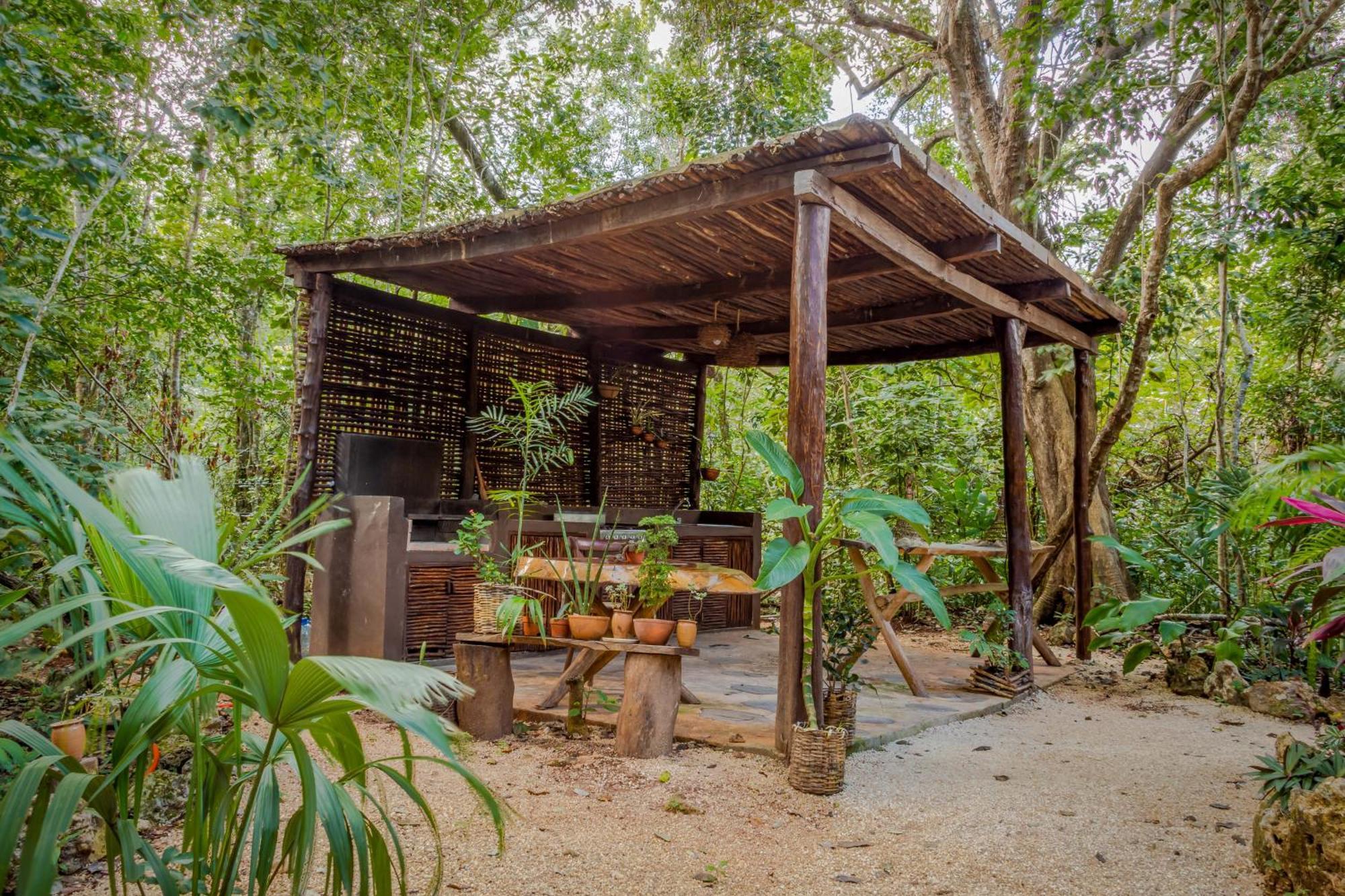 プエルト・モレロス Madre Tierra Eco Habitatゲストハウス エクステリア 写真